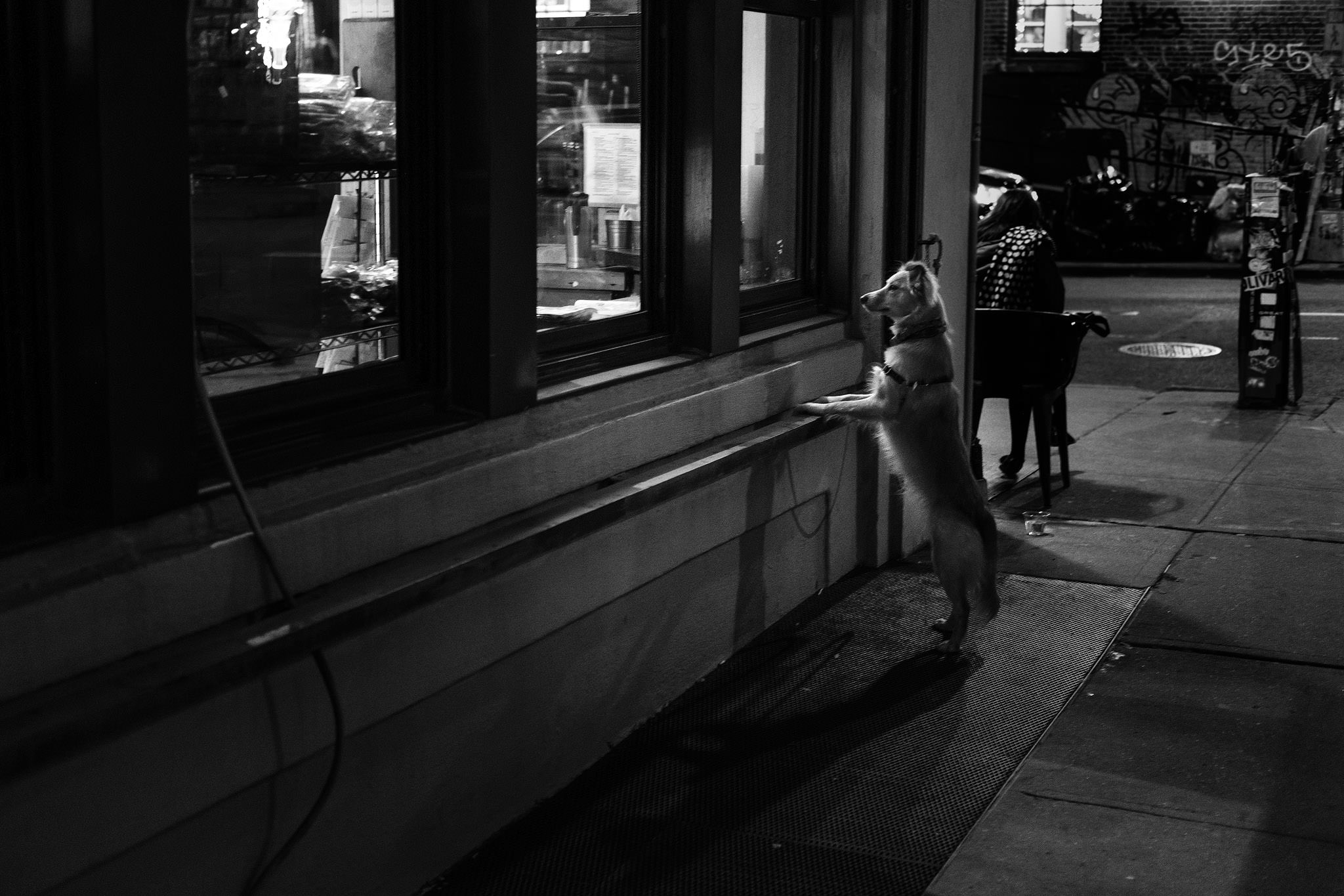 shaunmaluga_street_032